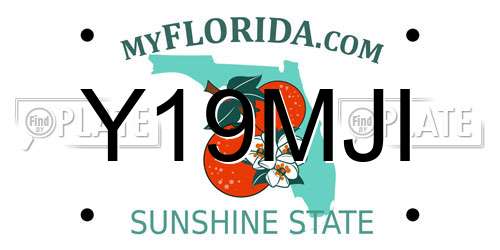 Y19MJI Florida License Plate