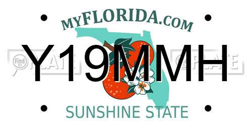 Y19MMH Florida License Plate
