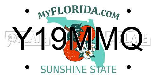 Y19MMQ Florida License Plate
