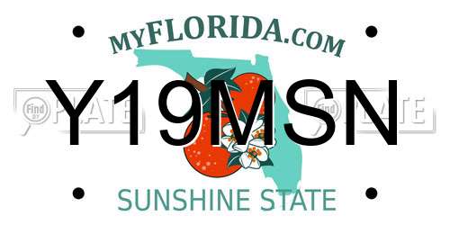Y19MSN Florida License Plate