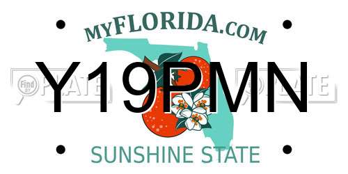 Y19PMN Florida License Plate