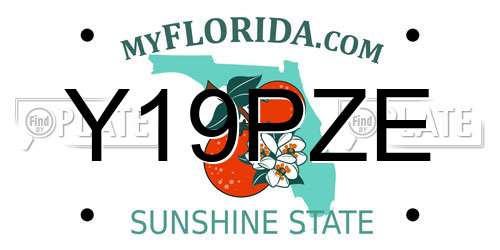 Y19PZE Florida License Plate