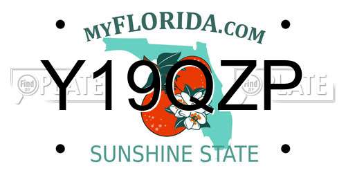 Y19QZP Florida License Plate