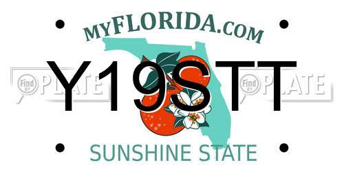 Y19STT Florida License Plate