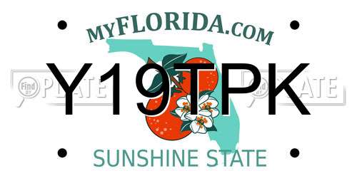 Y19TPK Florida License Plate