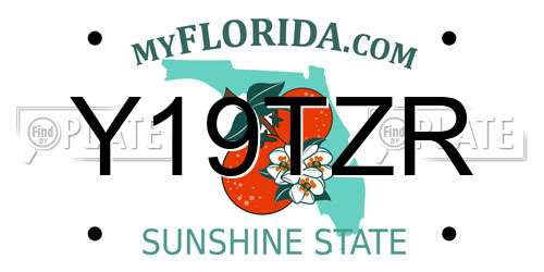 Y19TZR Florida License Plate