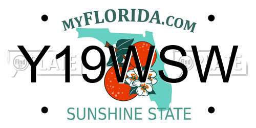 Y19WSW Florida License Plate