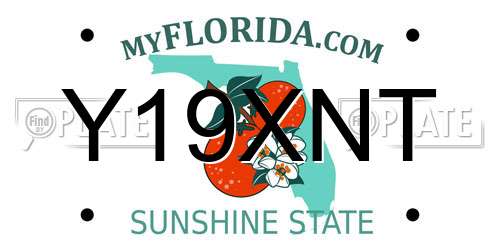 Y19XNT Florida License Plate