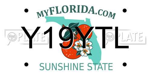 Y19YTL Florida License Plate