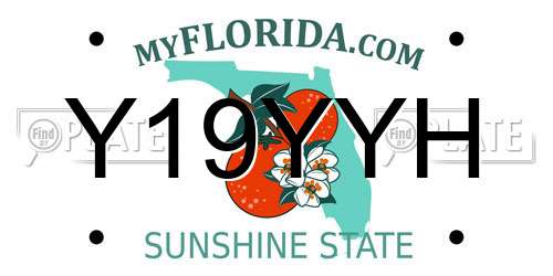 Y19YYH Florida License Plate