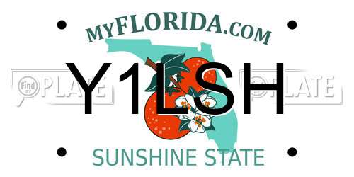 Y1LSH Florida License Plate