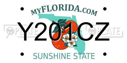 Y201CZ Florida License Plate