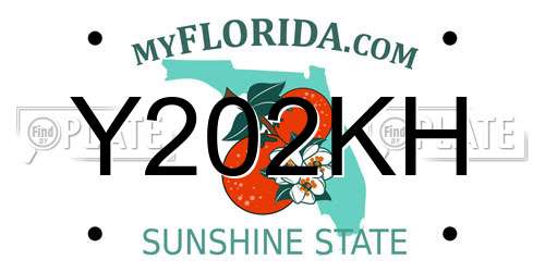 Y202KH Florida License Plate