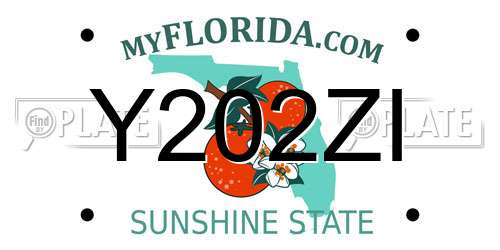 Y202ZI Florida License Plate