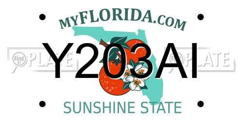 Y203AI Florida License Plate