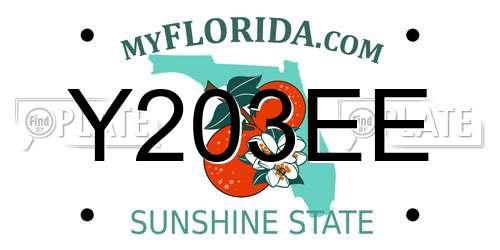 Y203EE Florida License Plate