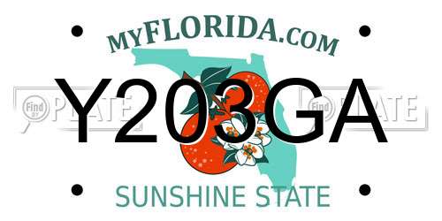 Y203GA Florida License Plate
