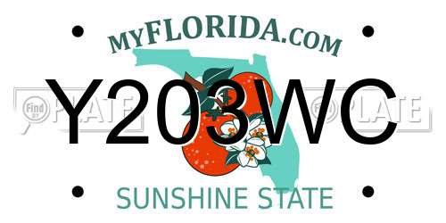 Y203WC Florida License Plate