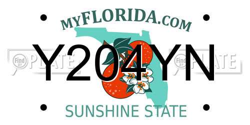 Y204YN Florida License Plate