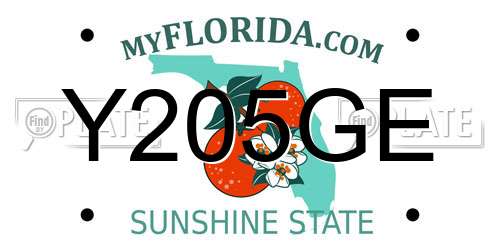 Y205GE Florida License Plate