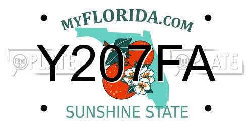 Y207FA Florida License Plate