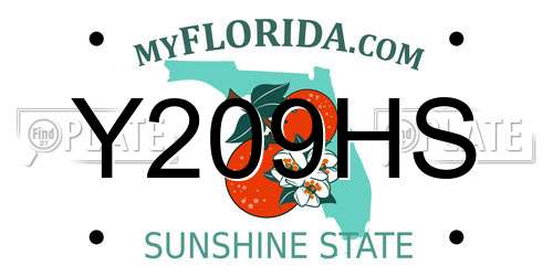 Y209HS Florida License Plate