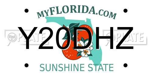 Y20DHZ Florida License Plate