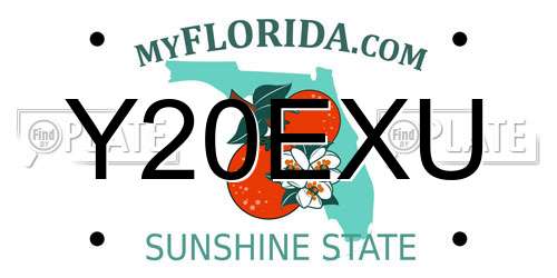 Y20EXU Florida License Plate