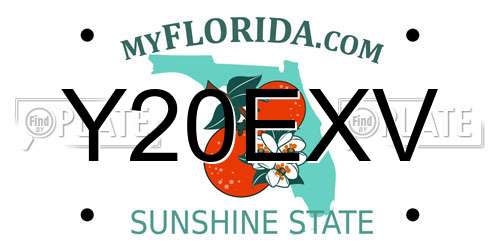 Y20EXV Florida License Plate
