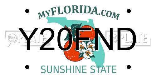 Y20FND Florida License Plate