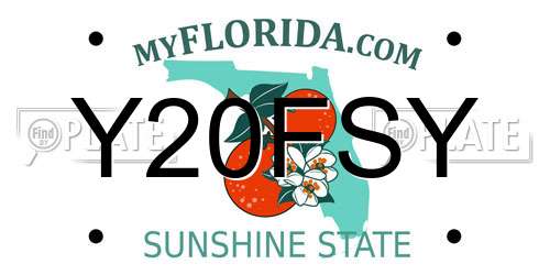 Y20FSY Florida License Plate