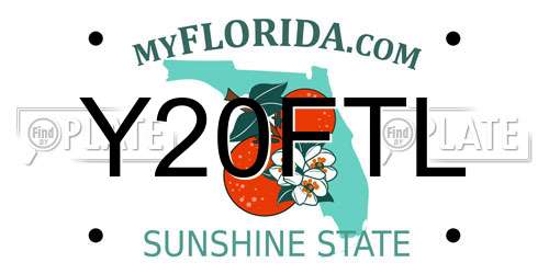 Y20FTL Florida License Plate
