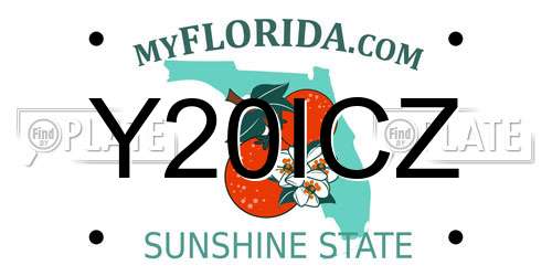 Y20ICZ Florida License Plate