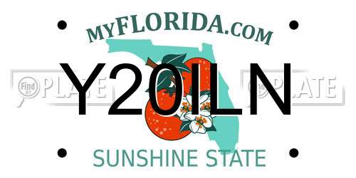 Y20ILN Florida License Plate