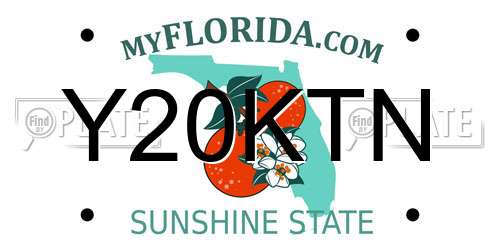 Y20KTN Florida License Plate