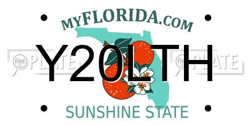 Y20LTH Florida License Plate
