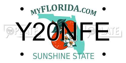 Y20NFE Florida License Plate