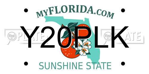 Y20PLK Florida License Plate
