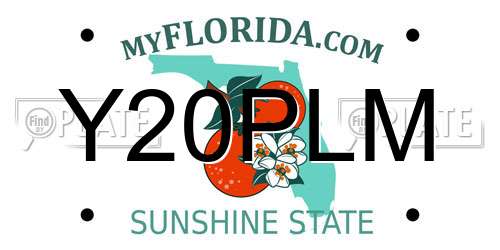 Y20PLM Florida License Plate