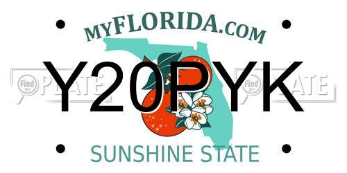 Y20PYK Florida License Plate
