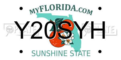 Y20SYH Florida License Plate