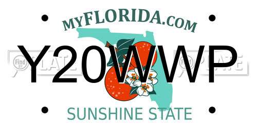 Y20WWP Florida License Plate