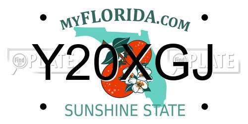 Y20XGJ Florida License Plate