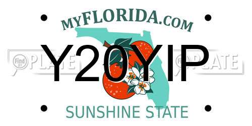 Y20YIP Florida License Plate