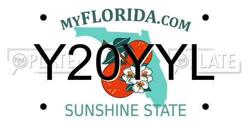 Y20YYL Florida License Plate