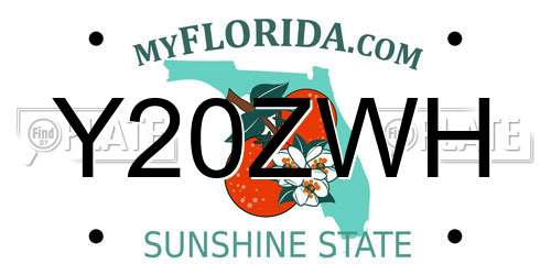 Y20ZWH Florida License Plate