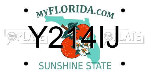 Y214IJ Florida License Plate