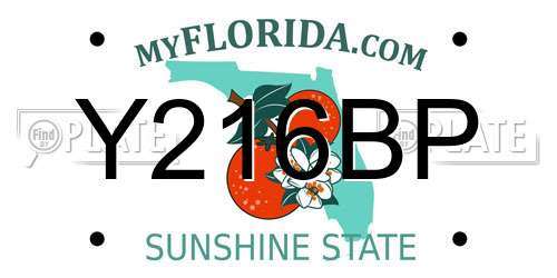 Y216BP Florida License Plate