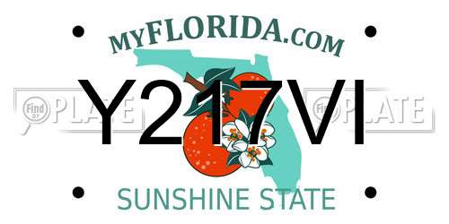 Y217VI Florida License Plate