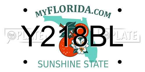 Y218BL Florida License Plate
